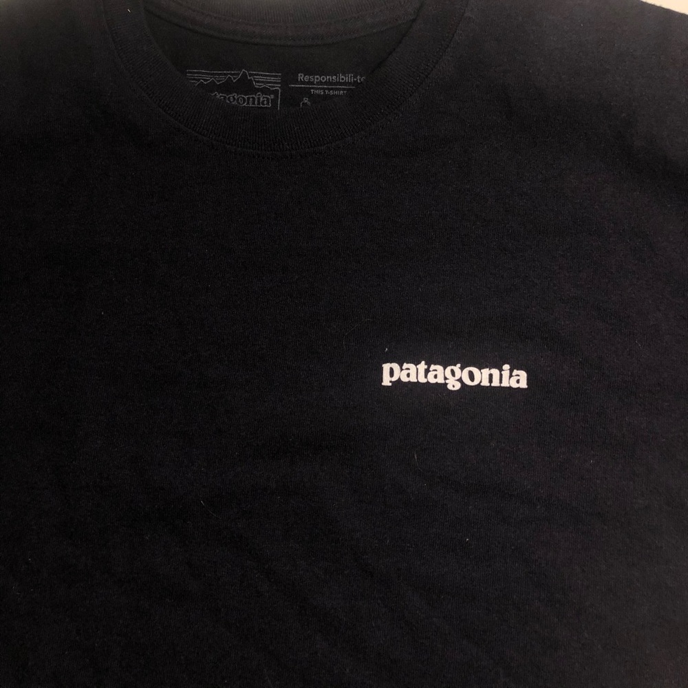 Women’s Patagonia T-shirt